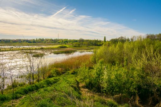 A beautiful view of the nature park Genbrugse Meersen near Ghent in Belgium