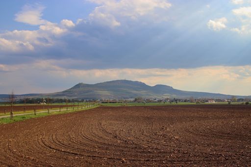 A view to the Palava hills with vineyards and fields around near Popice, Czech republic