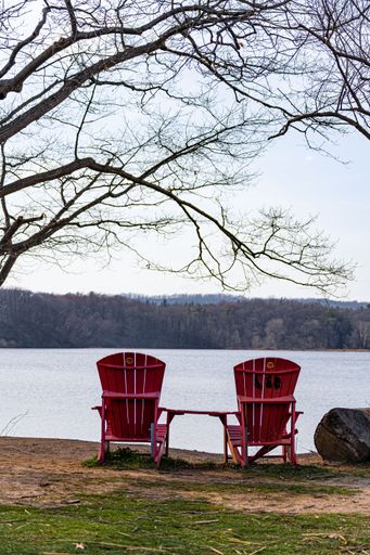 A vertical shot of two red wooden beach chairs on the lakeside in the background of a dense forest