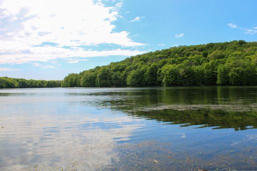 Landscape Shot of Winding Hills Park, Diamond Lake in Montgomery NY used for Outdoor Recreation