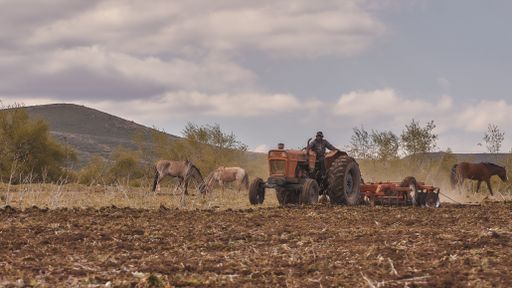 A man driving a tractor on the agricultural field  behind the horses