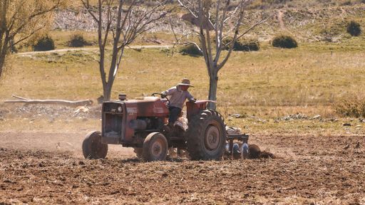 A man driving a tractor on the agricultural field