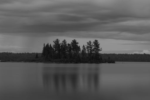 A grayscale shot of trees in a field by the lake under cloudy sky