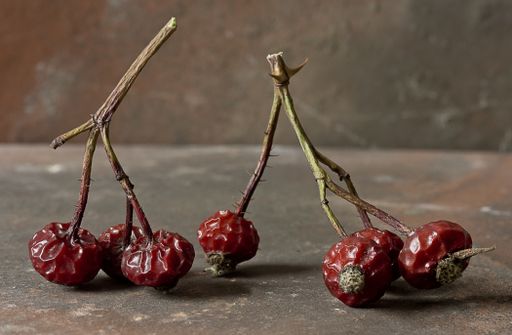 A closeup shot of dry rosehips on a wooden surface