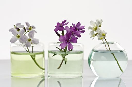 A closeup shot of three glass vases with different wildflowers on a white background