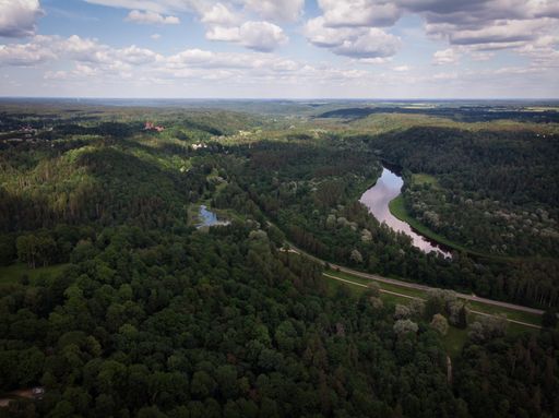A wide angle shot of a river passing through the forest
