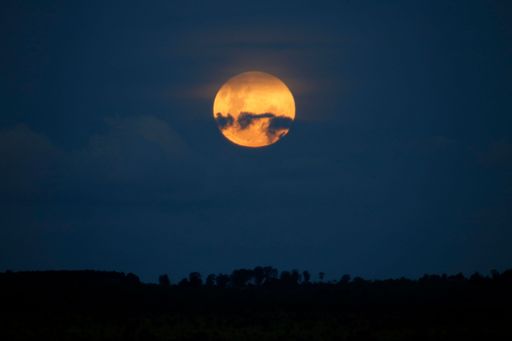 A mesmerizing view of a moon in the dark sky at night