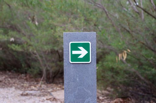 directional green arrow sign amongst trees