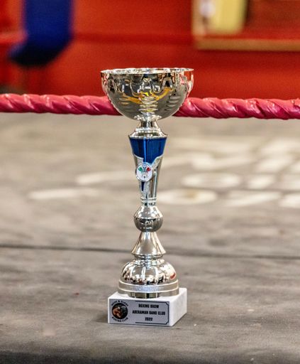 A selective focus shot of Welsh silver amateur boxing trophy
