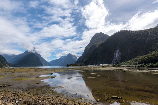 A beautiful shot of the Milford Sound in South Island, New Zealand