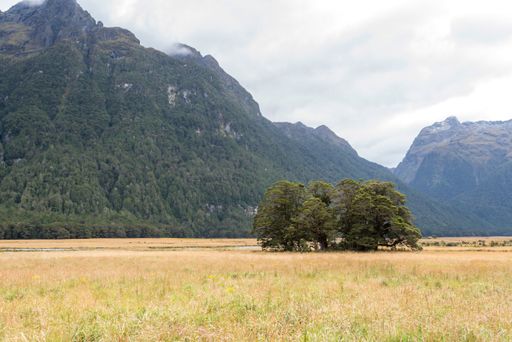 A beautiful shot of the Eglinton Valley in South Island, New Zealand