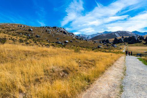 A narrow path next to a field leading to mountains in Cave Stream Scenic Reserve, South Island, New Zealand