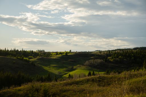 A beautiful landscape covered in greens gleaming under the blue cloudy sky