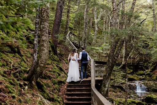A back view of a bride and groom on a wooden stairway in a magical green forest in New Brunswick