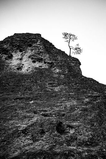 A vertical shot of a dry stone mountain with lonely tree on top on a sunset in black and white