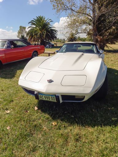 Old white sport Chevrolet Corvette C3 two door convertible 1970s by GM in the countryside. Nature grass tree. Classic racing muscle car. Front view.