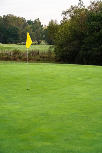 Vertical shot of a yellow flag on a lawn with trees in a golf course on a sunny day