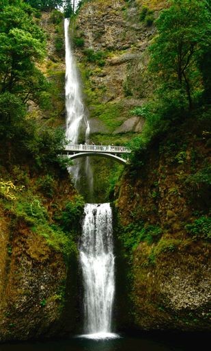A mesmerizing view of a waterfall flowing over the mossy rocks in a forest