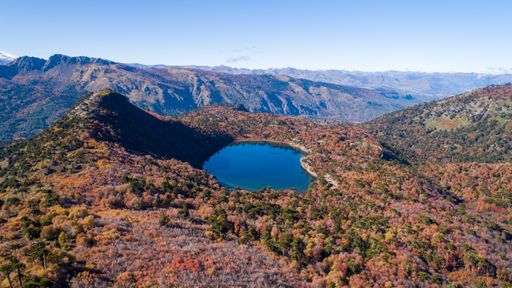 An aerial shot of a dry wooded area with the lake on a bright cloudless day