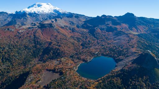 An aerial shot of a dry wooded area with the lake on a bright cloudless day