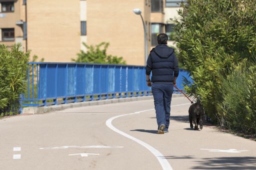 A young man walking with his black dog towards the bridge with blue railings