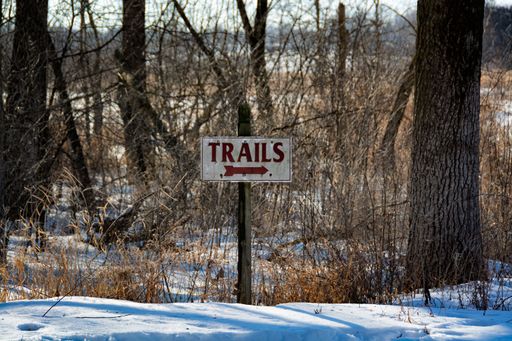 A trails sign with a red arrow in woodlands during winter