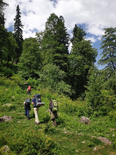 A group of trekkers wearing backpacks going up the hill at daytime