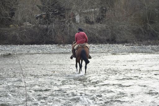 A male in a beret crossing the river on a brown horse