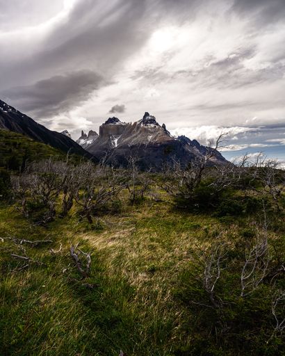 A vertical shot of a landscape covered with bare trees against snowy mountains on a cloudy day