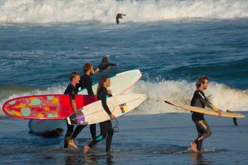 A group of surfers carrying their surfboards on the beach of Malibu, California, USA