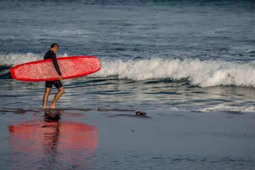 A male surfer carrying his surfboard on the beach of Malibu, California, USA