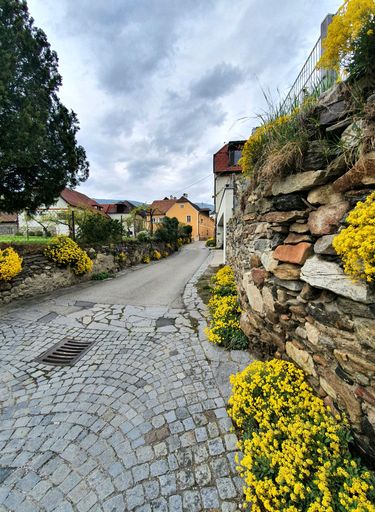 A vertical shot of narrow street in a village between houses with yellow flowers