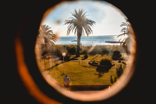 A framed shot of a tropical park with palm trees beside an ocean