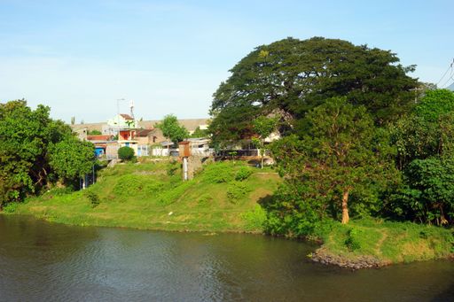 An aerial shot of a river beach covered with greenery under the sunlight