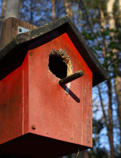 A red bird house on a sunny day