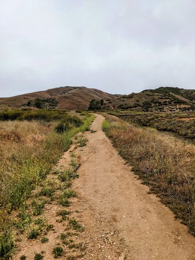 A vertical shot of a hiking trail near a mountain in Southern California