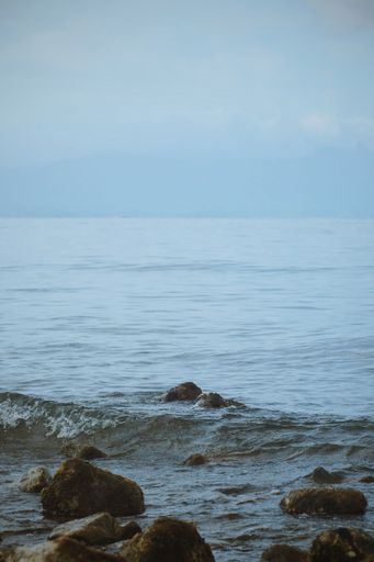 A vertical shot of small waves coming in on the shore