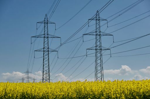 Transmission towers and rapeseed field under blue sky on a sunny day