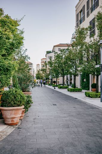A vertical shot of a paved street between buildings and green trees in Montenegro