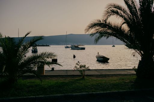 A scenic view of boats moored at the shore covered with green grass and palm trees in Montenegro