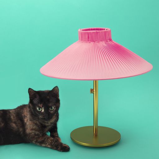 A studio shot of a cat under a pink lampshade against a green background
