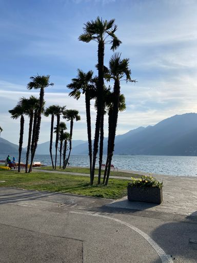 The Lake Maggiore in Ascona, Ticino, southern Switzerland on a sunny day