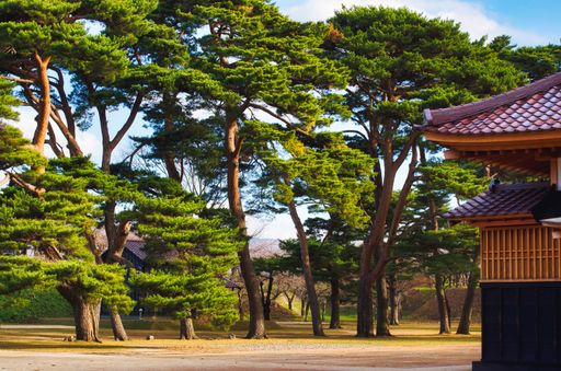 Sunny day at Goryokaku Park, Hakodate-Shi, Hokkaido, Japan