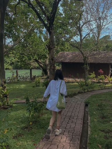 A vertical back view of a female walking through a path in a park