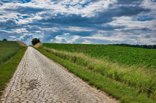 The road next to the large green fields during daytime