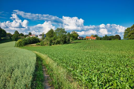 The buildings on the green landscape under the blue sky full of clouds