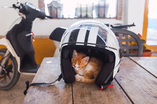 A closeup shot of kitten in helmet on an old wooden table with a motorcycle on the background