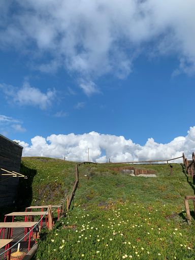 A beautiful shot of wooden picnic tables in a park with green grass and white flowers against blue cloudy sky in bright sunlight