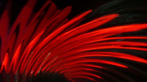 A horizontal shot of smooth red light art - Visual inspiration