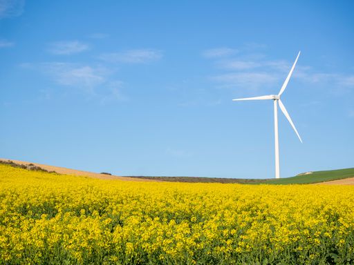 A beautiful shot of a wind turbine in a field with rapeseed flowers against blue sky in bright sunlight